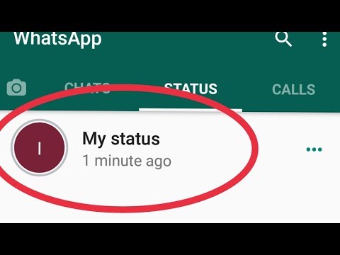 How to Delete the Status in Whatsapp?